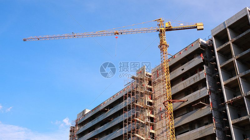 园林绿化苗木分类与规格参数解析**